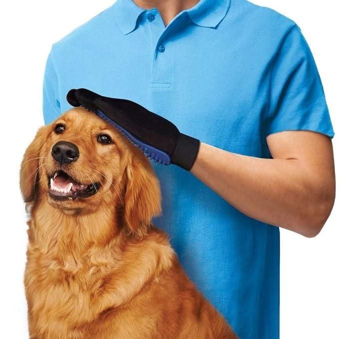 Pet Products